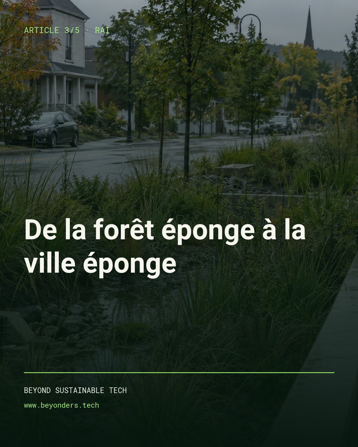Couverture du troisième article RAI : de la forêt éponge à la ville éponge